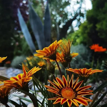 Skaline Апартаменты Малинска